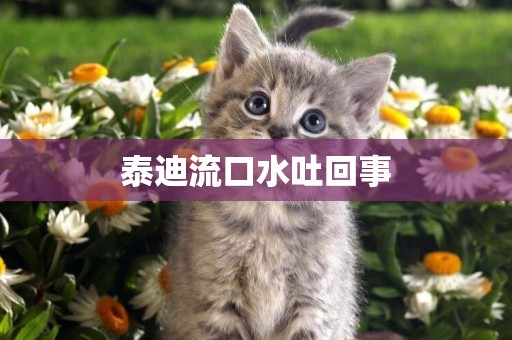 泰迪流口水吐回事