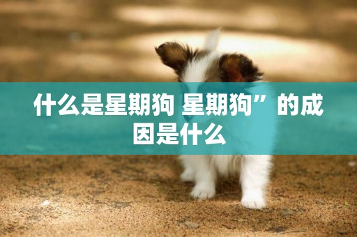 什么是星期狗 星期狗”的成因是什么