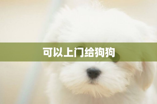 可以上門給狗狗