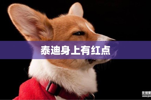 泰迪身上有紅點