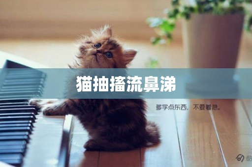 貓抽搐流鼻涕