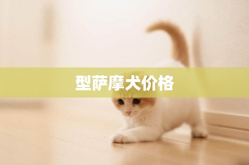 型薩摩犬價格
