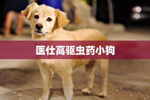 醫仕高驅蟲藥小狗