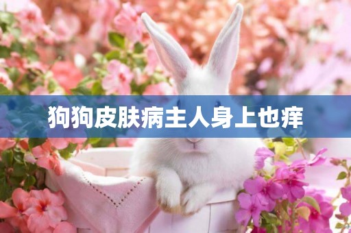 狗狗皮膚病主人身上也癢