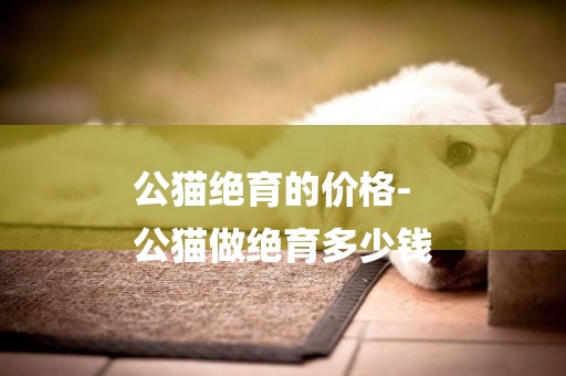 公貓絕育的價格-
公貓做絕育多少錢