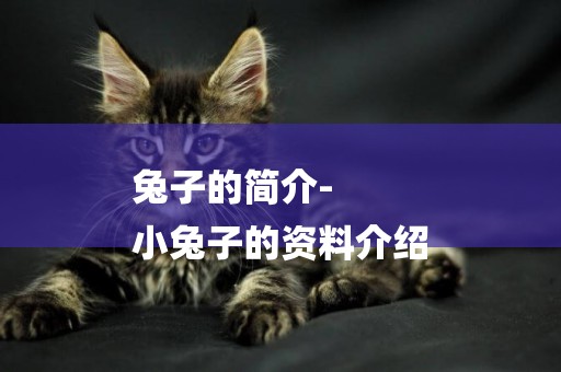 兔子的簡介-
小兔子的資料介紹