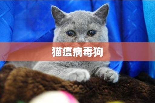 貓瘟病毒狗