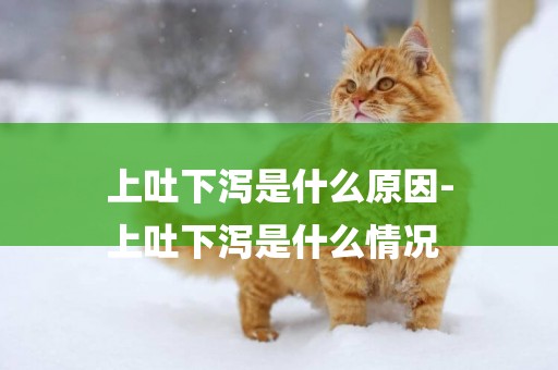 上吐下瀉是什么原因-
上吐下瀉是什么情況
