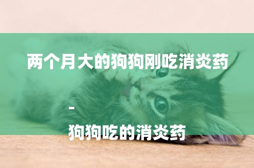 兩個月大的狗狗剛吃消炎藥-
狗狗吃的消炎藥