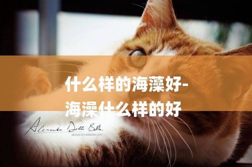 什么樣的海藻好-
海澡什么樣的好