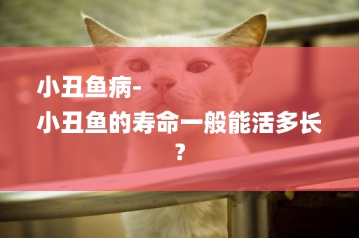 小丑魚病-
小丑魚的壽命一般能活多長?