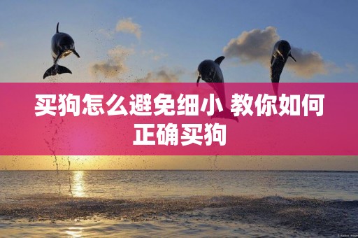買狗怎么避免細小 教你如何正確買狗