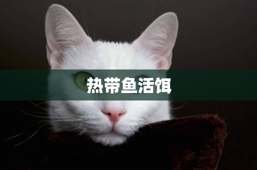 熱帶魚活餌