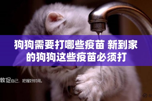 狗狗需要打哪些疫苗 新到家的狗狗這些疫苗必須打