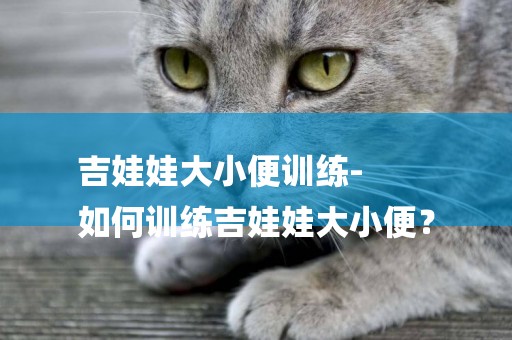 吉娃娃大小便訓練-
如何訓練吉娃娃大小便？