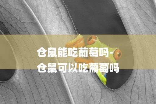 倉鼠能吃葡萄嗎-
倉鼠可以吃葡萄嗎