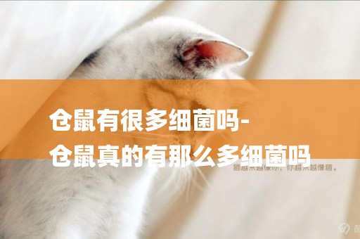 倉鼠有很多細菌嗎-
倉鼠真的有那么多細菌嗎