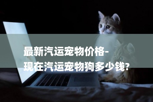 最新汽運寵物價格-
現在汽運寵物狗多少錢?