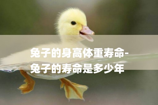 兔子的身高體重壽命-
兔子的壽命是多少年