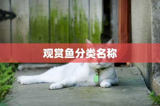 觀賞魚分類名稱