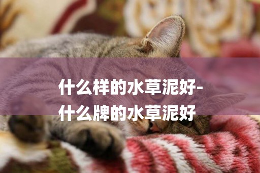 什么樣的水草泥好-
什么牌的水草泥好