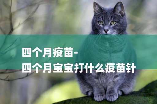 四個月疫苗-
四個月寶寶打什么疫苗針