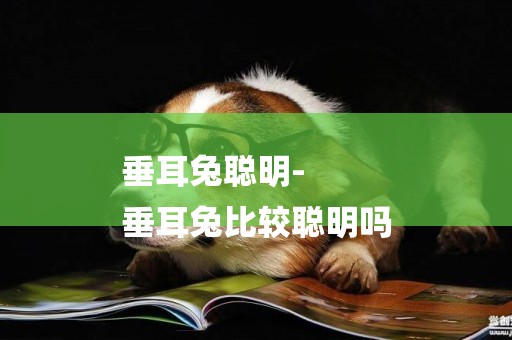 垂耳兔聰明-
垂耳兔比較聰明嗎