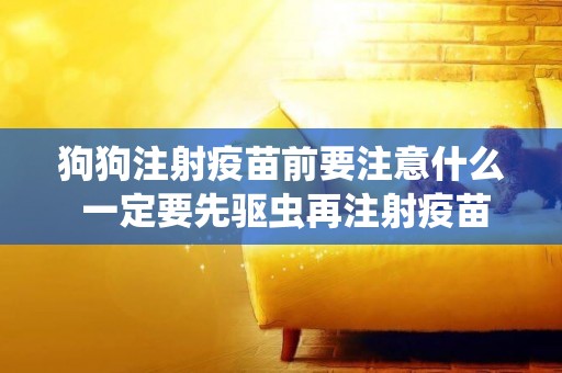 狗狗注射疫苗前要注意什么 一定要先驅蟲再注射疫苗