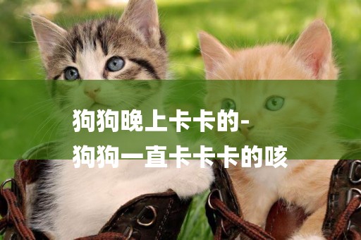 狗狗晚上卡卡的-
狗狗一直卡卡卡的咳