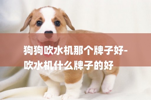 狗狗吹水機那個牌子好-
吹水機什么牌子的好