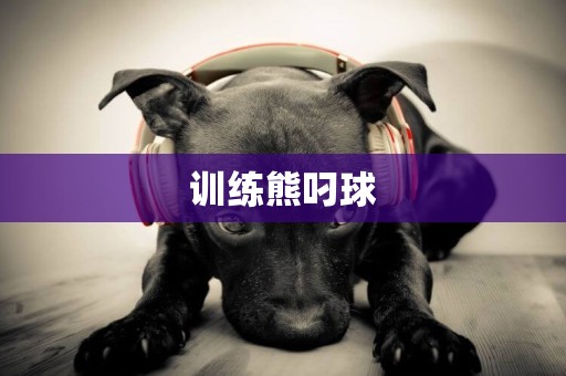 訓練熊叼球