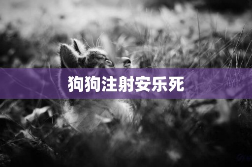 狗狗注射安樂死