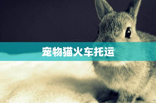 寵物貓火車托運