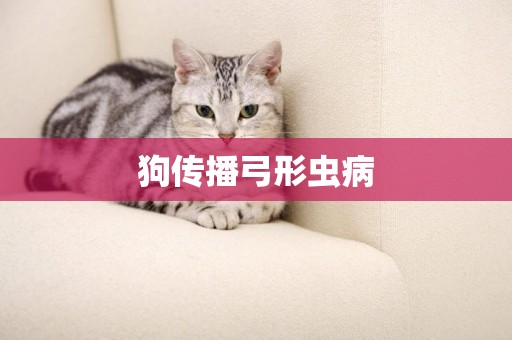 狗傳播弓形蟲病