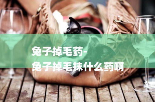 兔子掉毛藥-
兔子掉毛抹什么藥啊