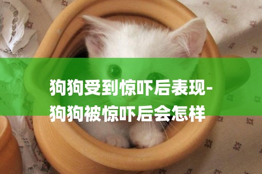 狗狗受到驚嚇后表現-
狗狗被驚嚇后會怎樣