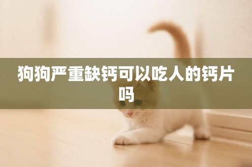 狗狗嚴重缺鈣可以吃人的鈣片嗎