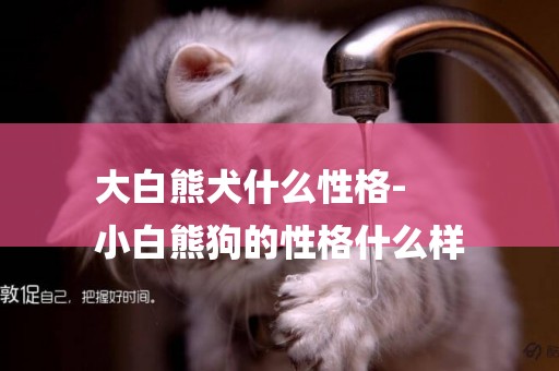 大白熊犬什么性格-
小白熊狗的性格什么樣