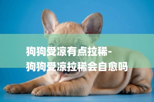 狗狗受涼有點拉稀-
狗狗受涼拉稀會自愈嗎
