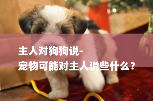 主人對狗狗說-
寵物可能對主人說些什么？