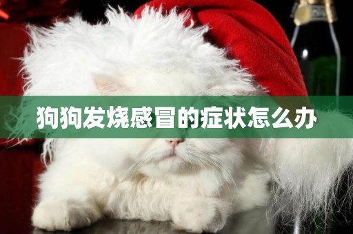 狗狗發燒感冒的癥狀怎么辦