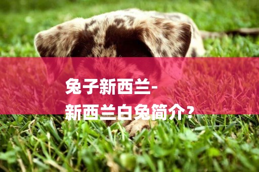 兔子新西蘭-
新西蘭白兔簡介？