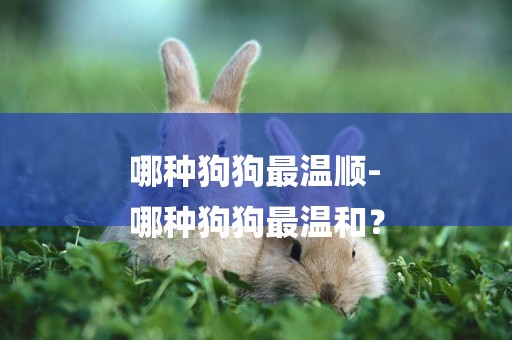 哪種狗狗最溫順-
哪種狗狗最溫和？