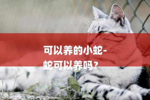 可以養的小蛇-
蛇可以養嗎？