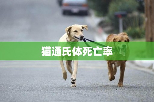 貓通氏體死亡率