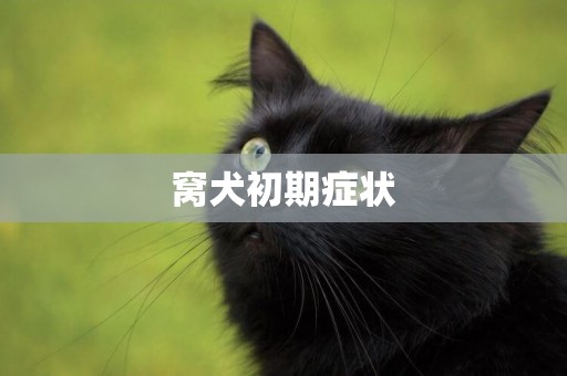 窩犬初期癥狀