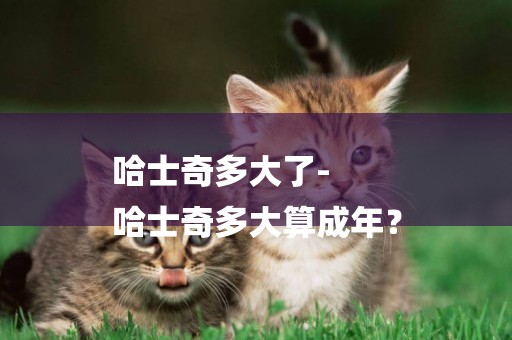 哈士奇多大了-
哈士奇多大算成年？