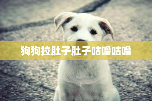 狗狗拉肚子肚子咕嚕咕嚕