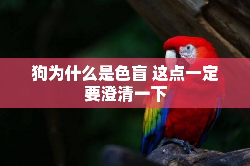 狗為什么是色盲 這點一定要澄清一下