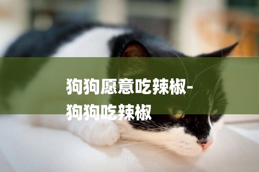 狗狗愿意吃辣椒-
狗狗吃辣椒